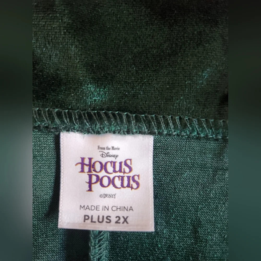 Disney Hocus Pocus Costume  2X Winnie Sanderson - Picture 9 of 12